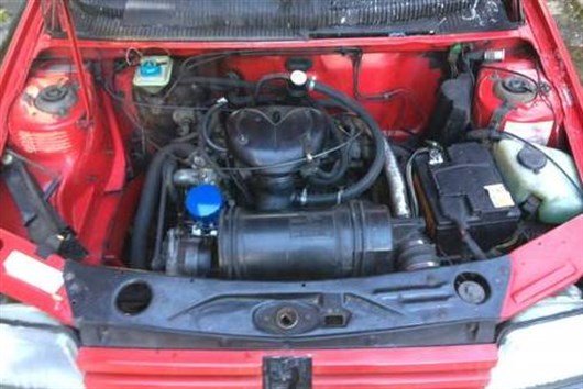 Peugeot 205 (2) (1)