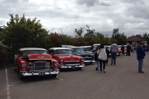 Chevys 55 Chevys 1
